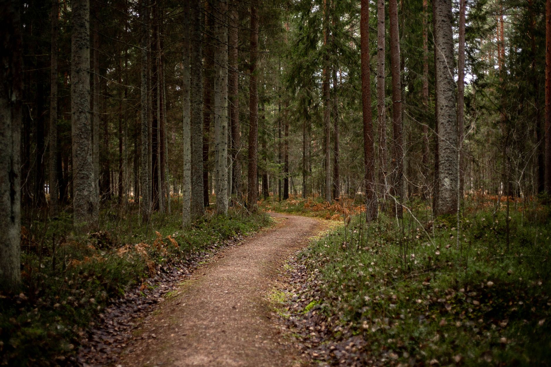 Notater fra to beslutningssituationer